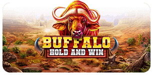 Buffalo Hold and Win