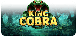 King Cobra