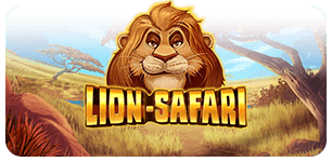 Lion Safari