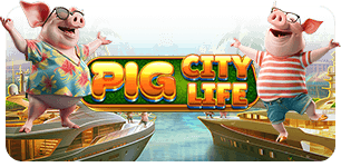 Pig City Life