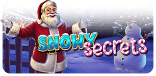 Snowy Secrets